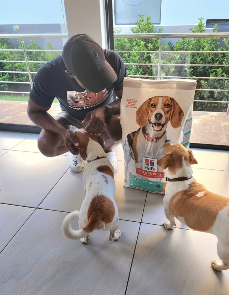 Helping dogs stay fit with Hill’s Science Plan Perfect Weight
