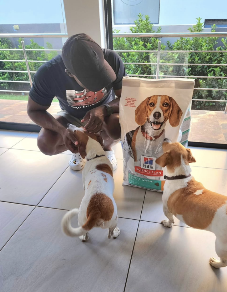 Helping dogs stay fit with Hill’s Science Plan Perfect Weight